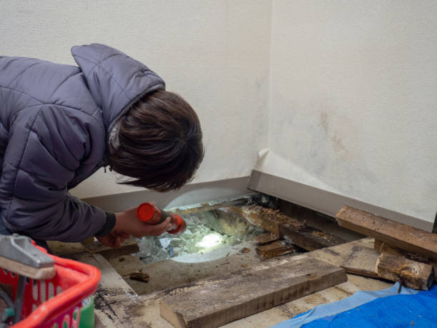 Best Commercial Mold Inspection  in Glouster, OH