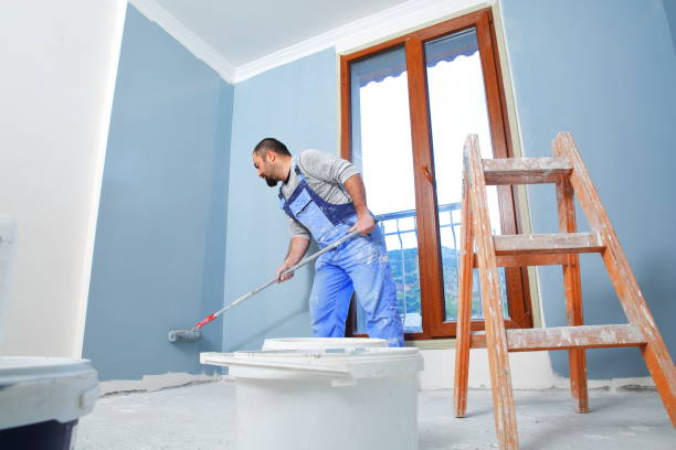 Best Emergency Mold Remediation  in Glouster, OH