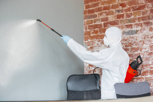 Best Mold Remediation for Healthcare Facilities  in Glouster, OH
