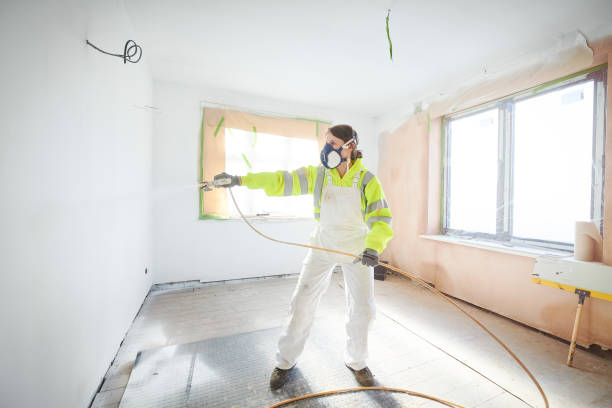 Professional Mold Removal in Glouster, OH