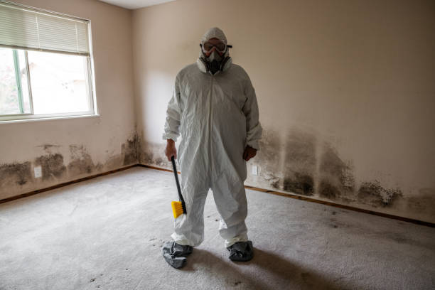 Best Airborne Mold Testing  in Glouster, OH